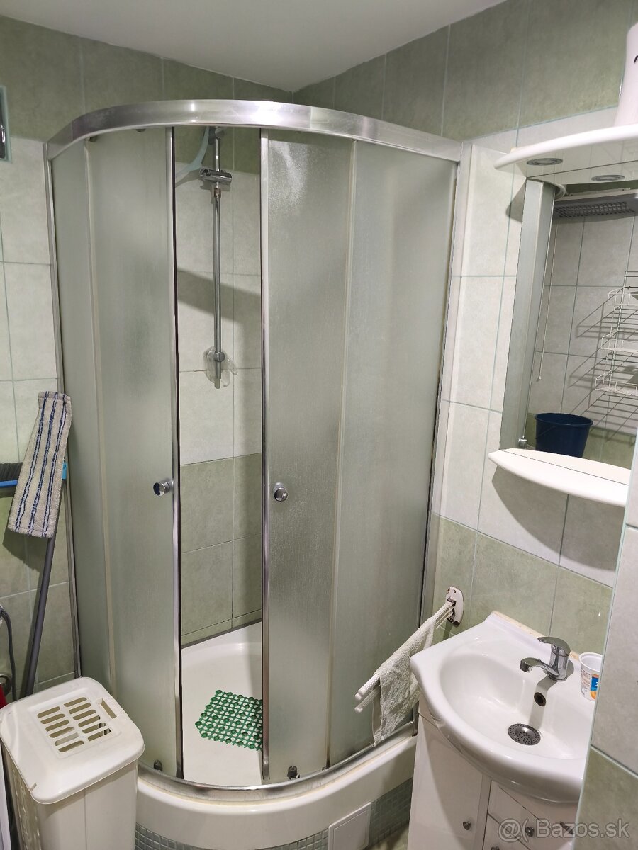 Prenajmem 1,5 izb. byt - 5