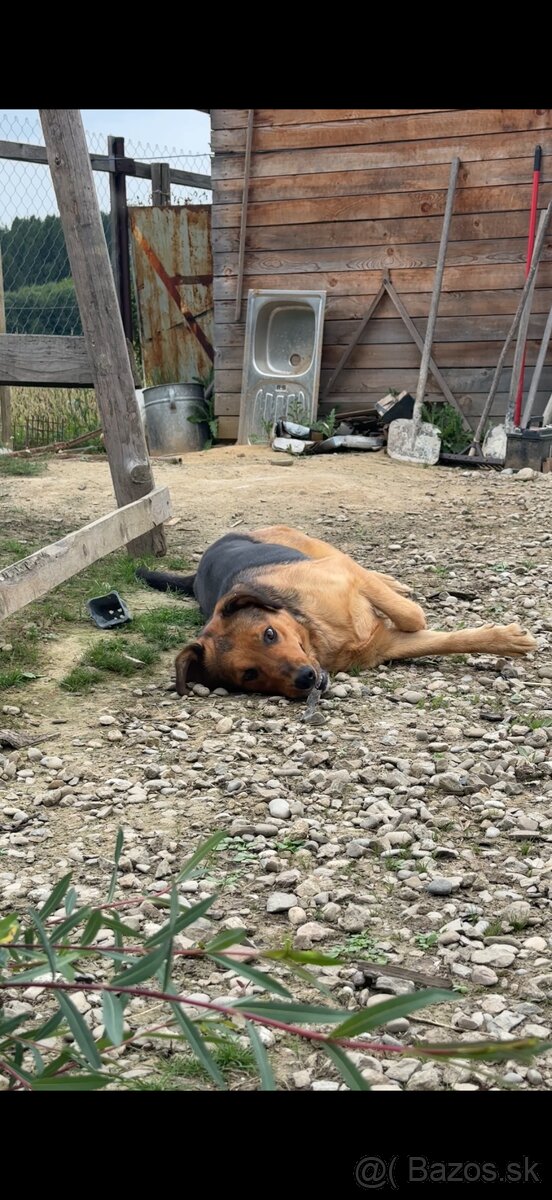 Darujeme fenku ❤️ - 5