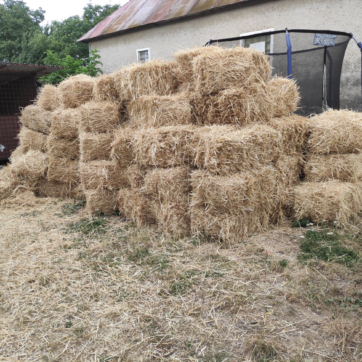 Balikovač forschriit 454 - 5