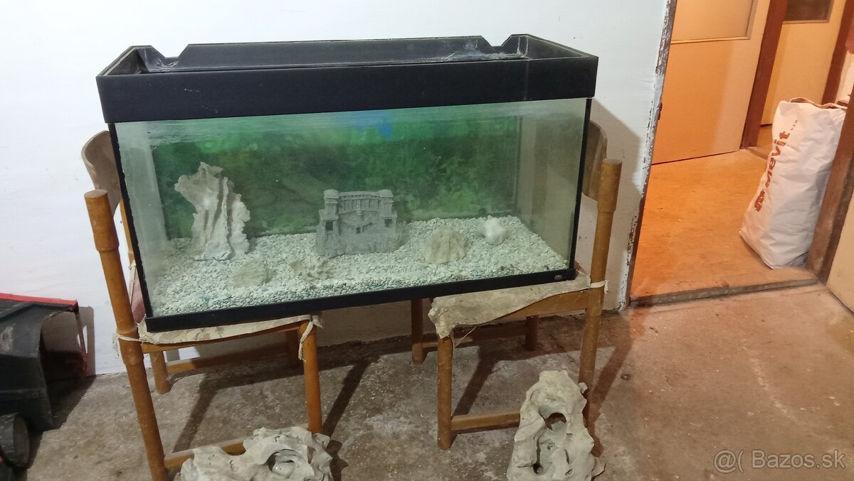 Akvárium - 5