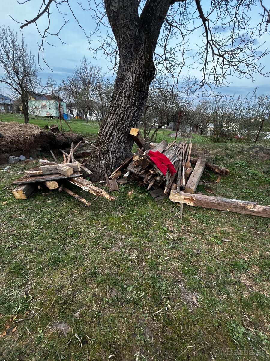 Darujem drevo za odvoz - 5