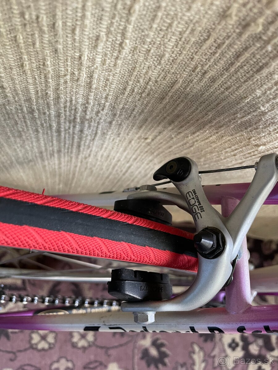 Radsport P. Schlecht - edge - 5