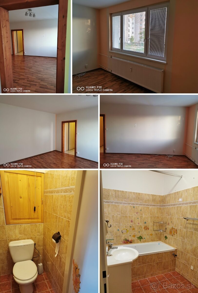 2izbovy byt Levice - 5