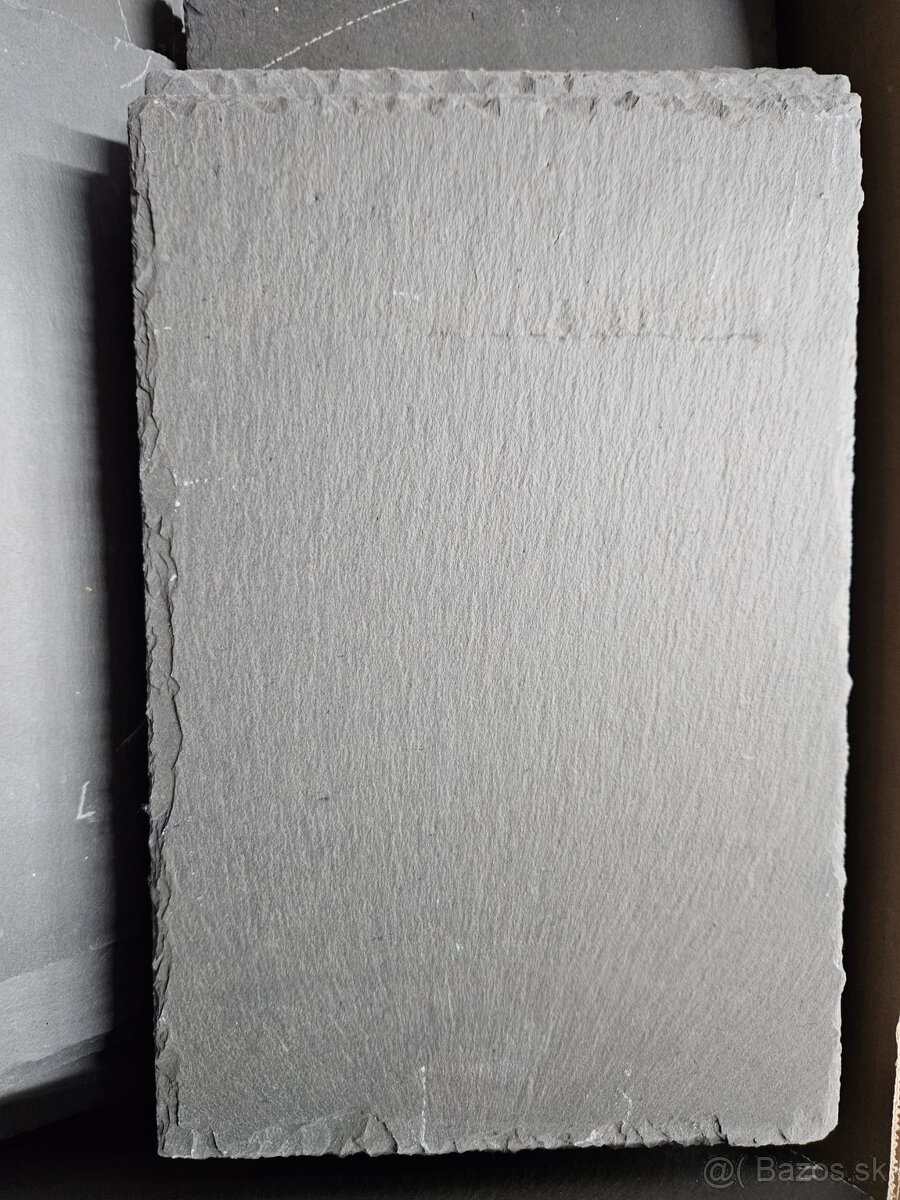 Bridlice do akvaria - bridlica - 5