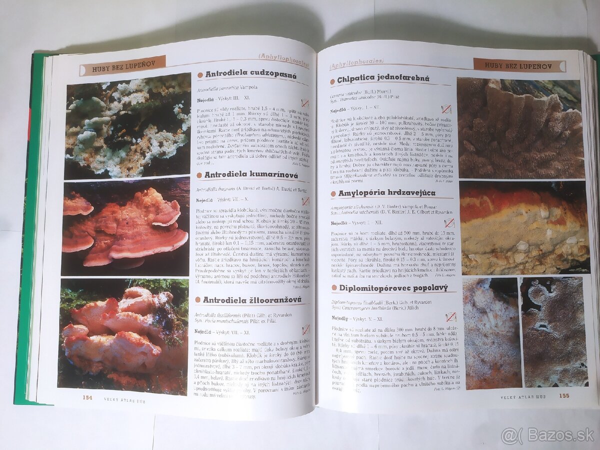 Veľký atlas húb - 5