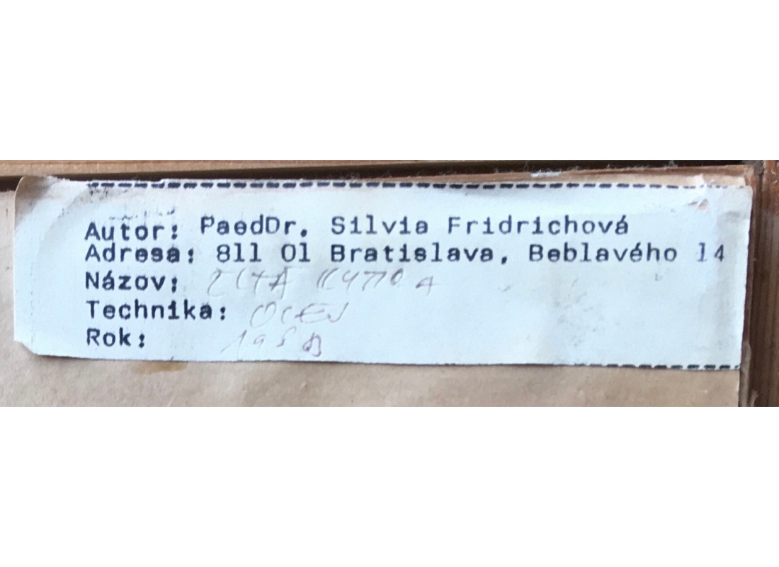 Neznámy-U Božích mukách - 5