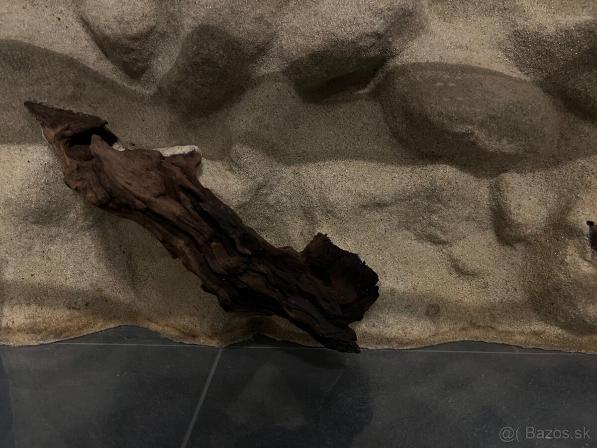 Terárium s 3D stenou 100x50x40 cm - 5