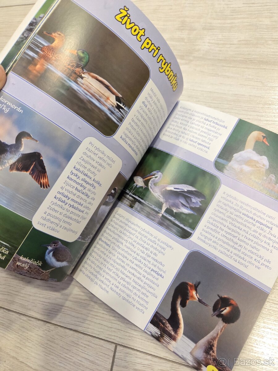 Príroda Slovenska, kniha - 5