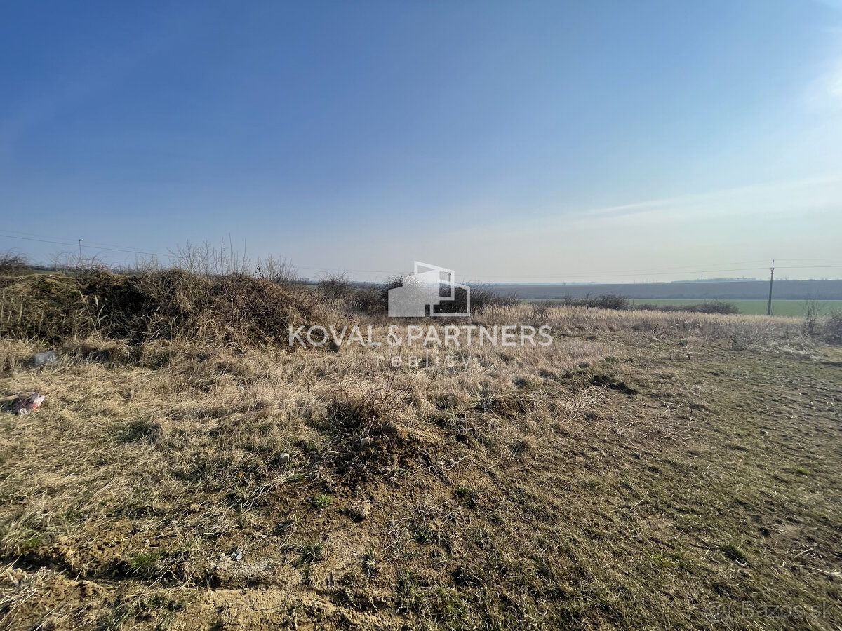 Na predaj orná pôda 3706 m2 - 5