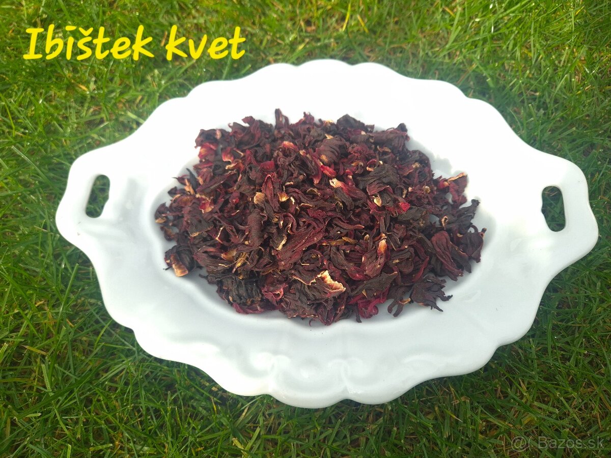 Vlašské orechy 2025 - 5