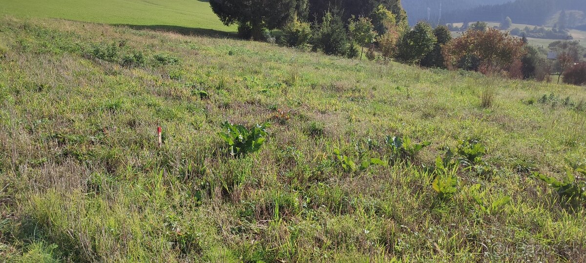 Pozemok Ludrová - 5