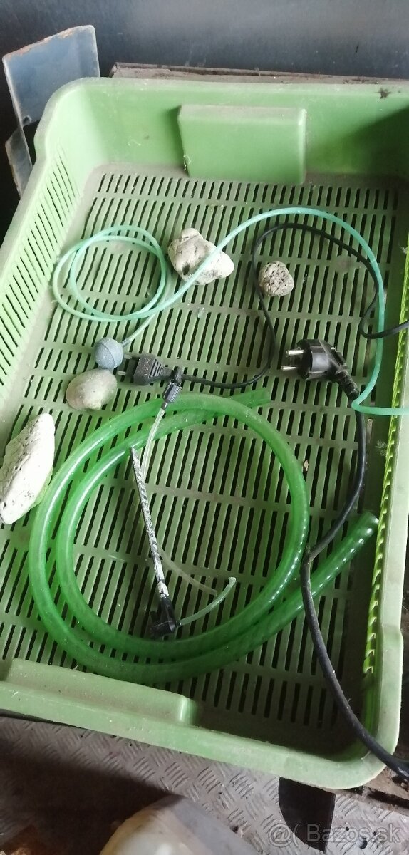 Predam veci do Akvaria - 5