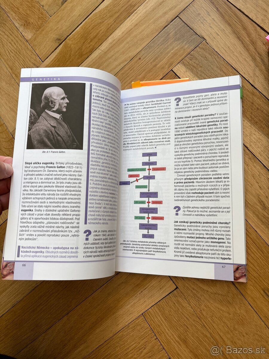 Genetika pre Gymnázia - Eduard Kočárek - 5