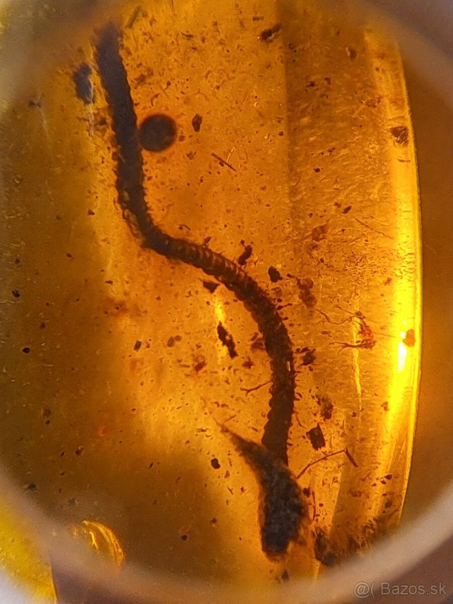 Jantár s mnohonôžkou - 5