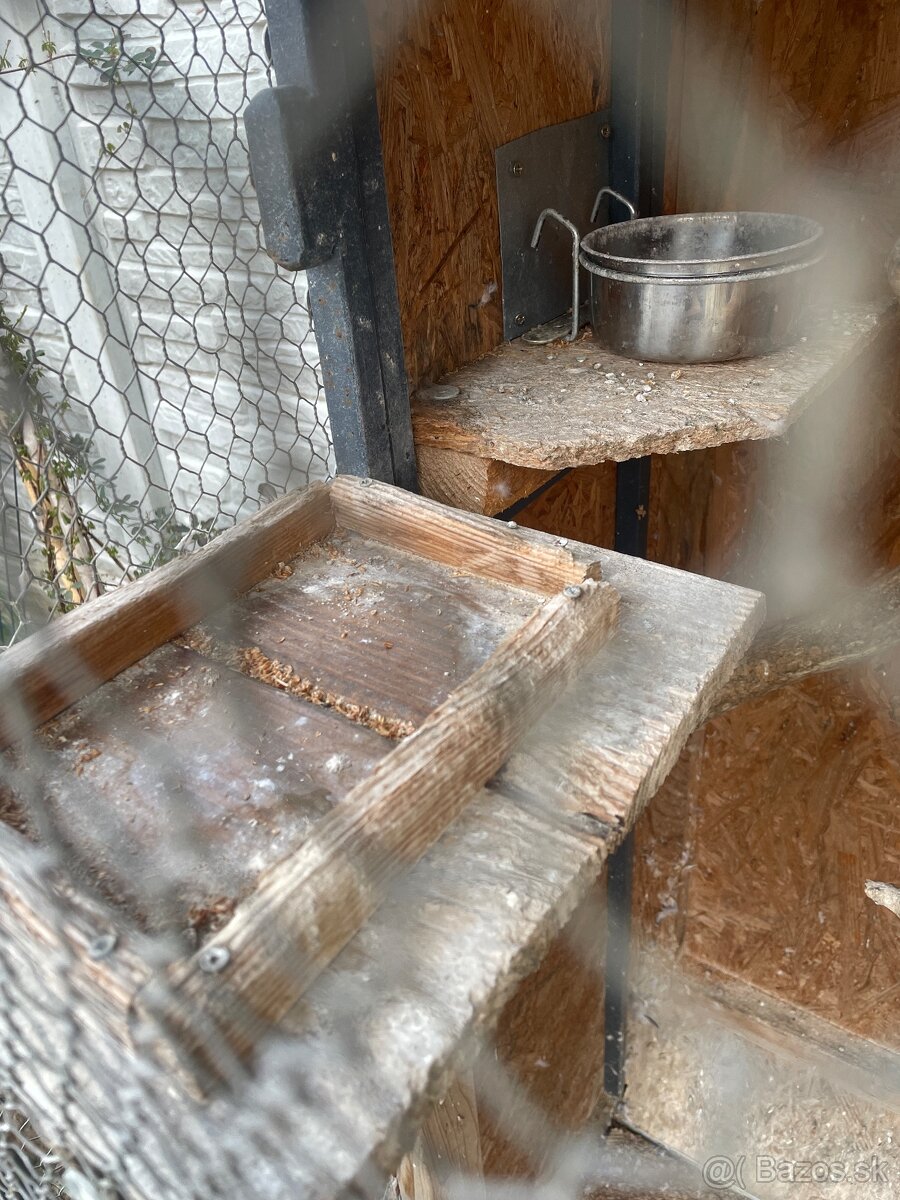 Voliera pre vtáky - 5