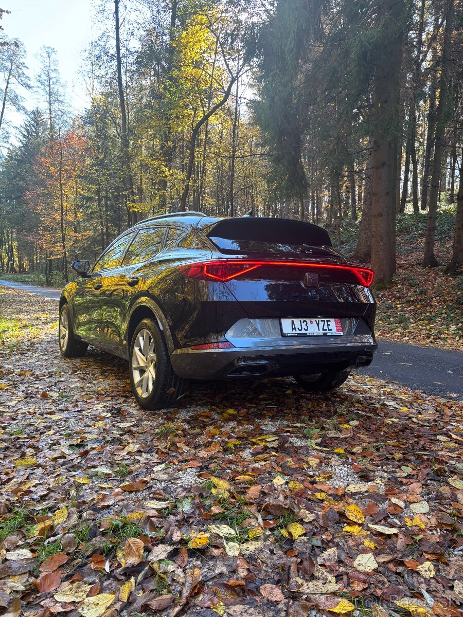 Cupra Formentor 2.0 TSI 140kw, 4x4, A7, zimné pneu Alpin 5 - 5