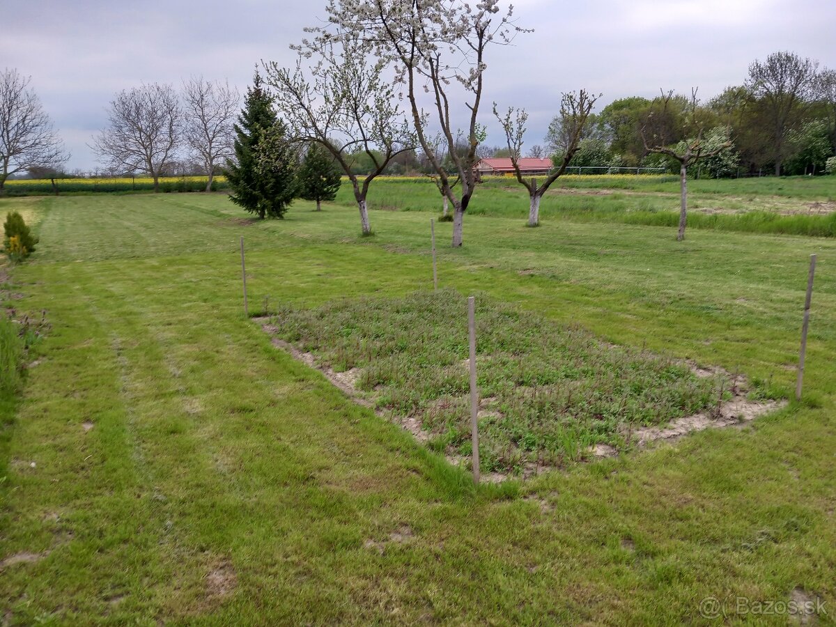 Pozemok/zahrada 1000m2 - 5