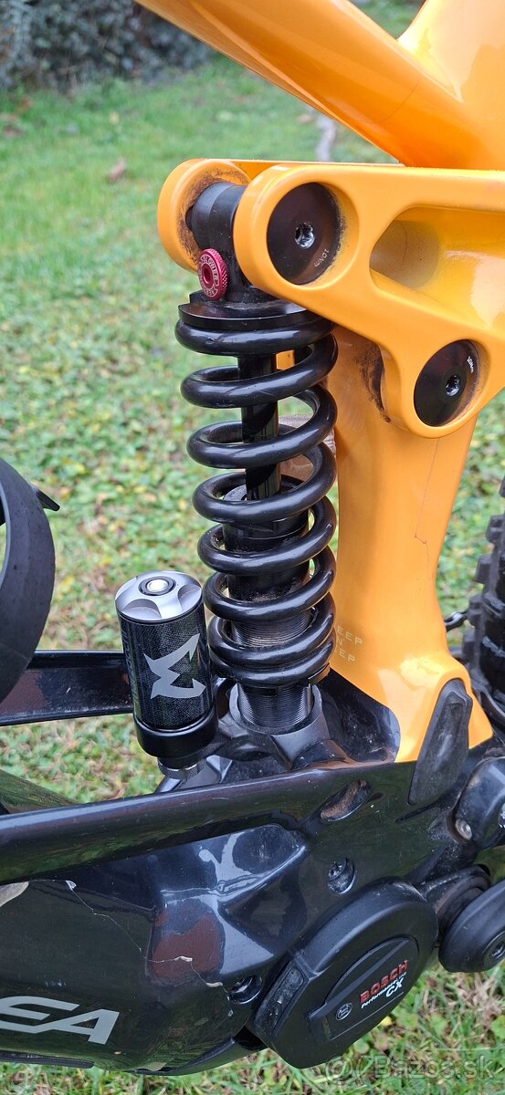 Predam Orbea Wild 2024 L - 5