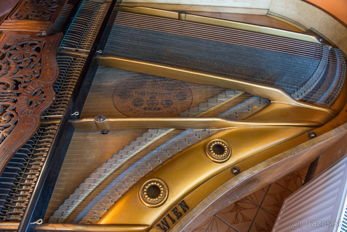 ALOIS KERN PIANO FORTE - 5