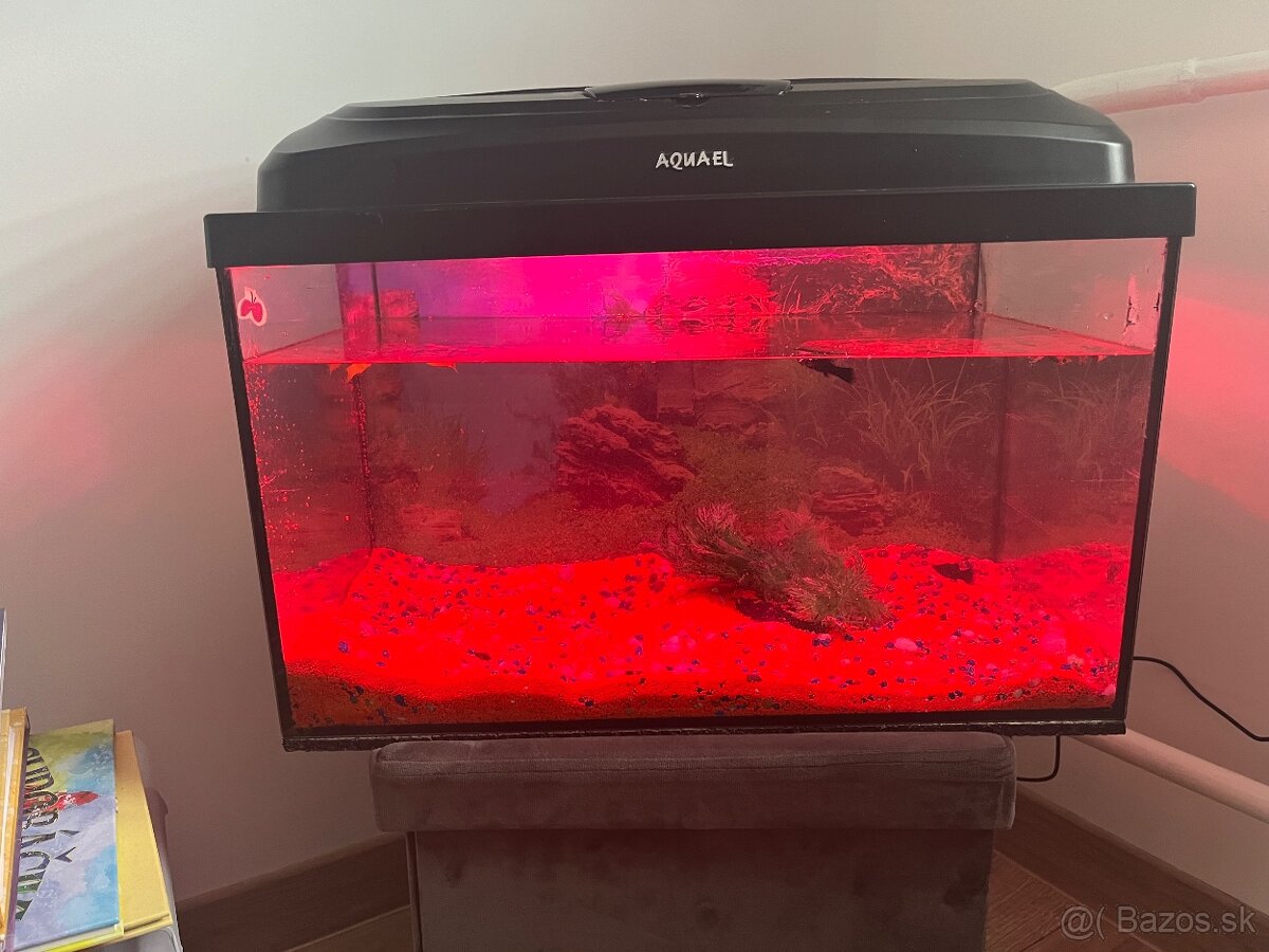 Predám akvárium 30l - 5