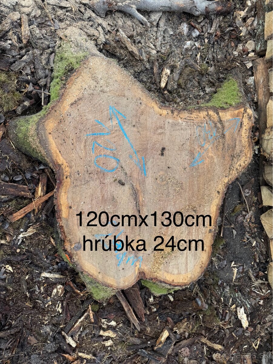 Dubové koláče na konferenčné stoly - 5