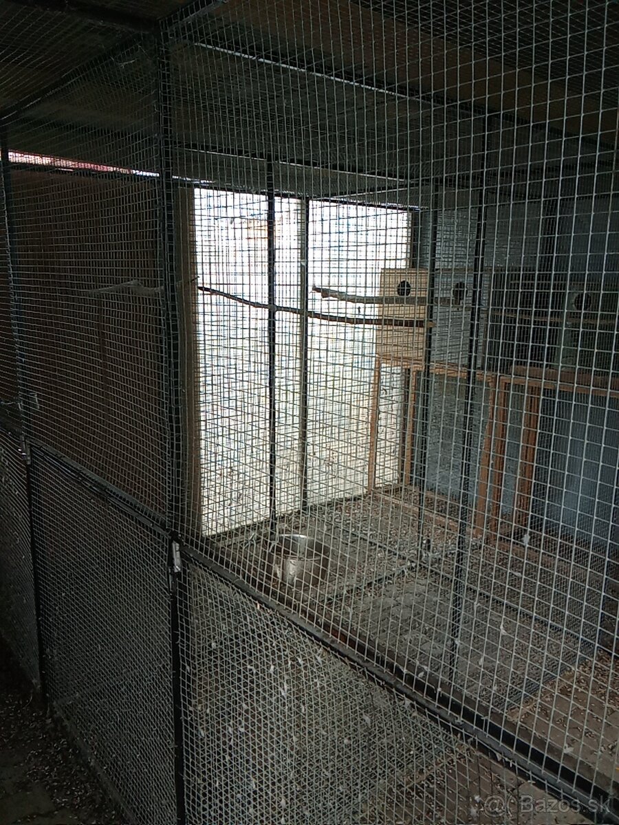 Predám volieru pre vtáky - 5