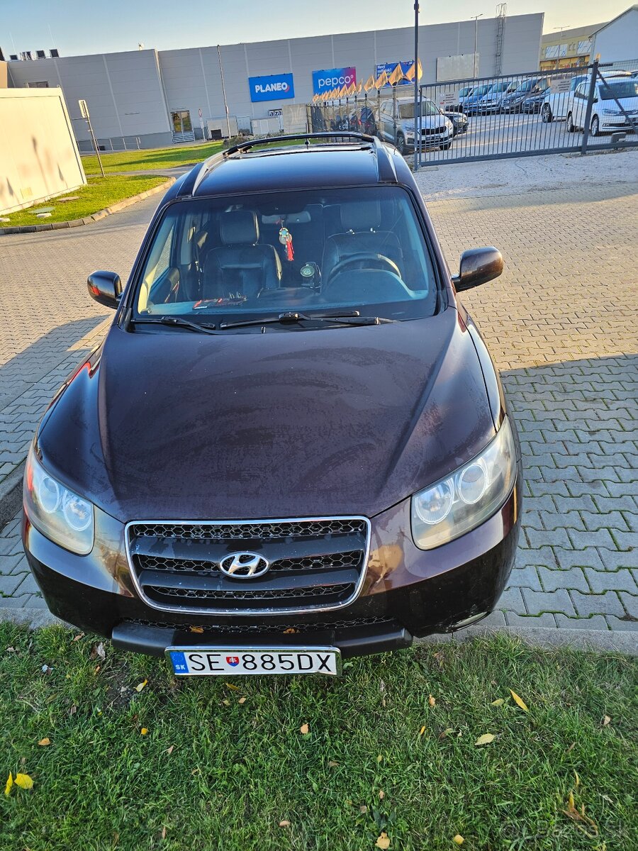 Hyundai Santa fe 2009 - 5