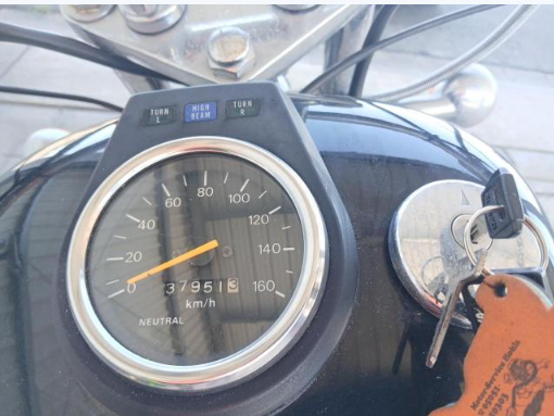 Suzuki LS 650 - 5