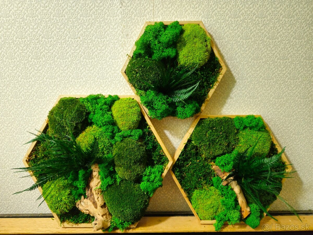 Machový obraz hexagón na mieru - 5