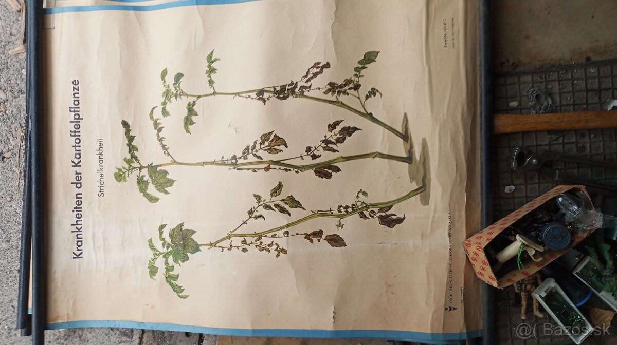 Staré školské tabule. - 5