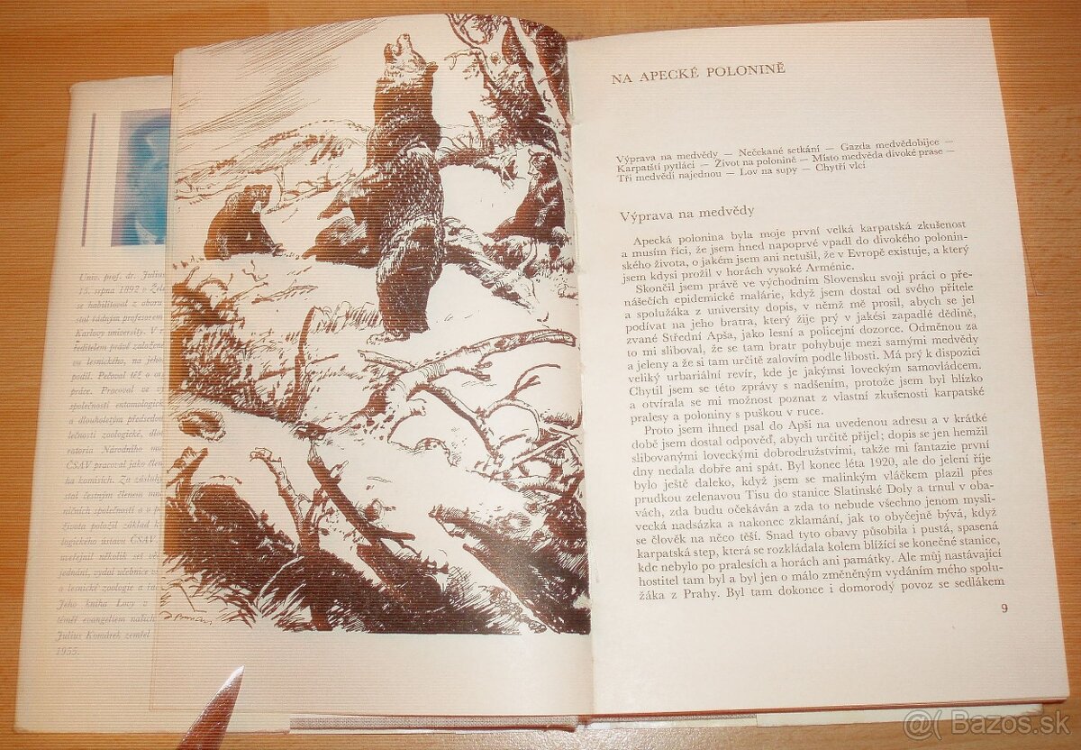 Lovy v Karpatech - 5