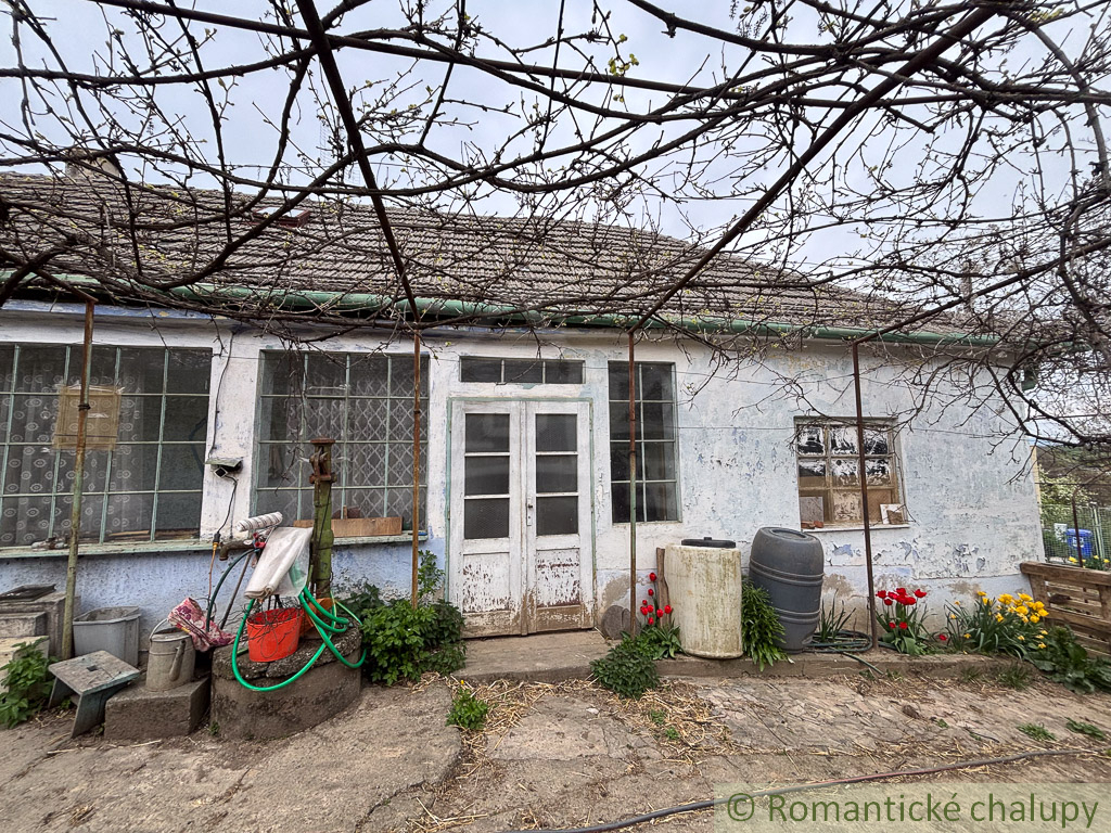 Starší rodinný dom s 20 á pozemkom v Sasinkove na predaj - 5