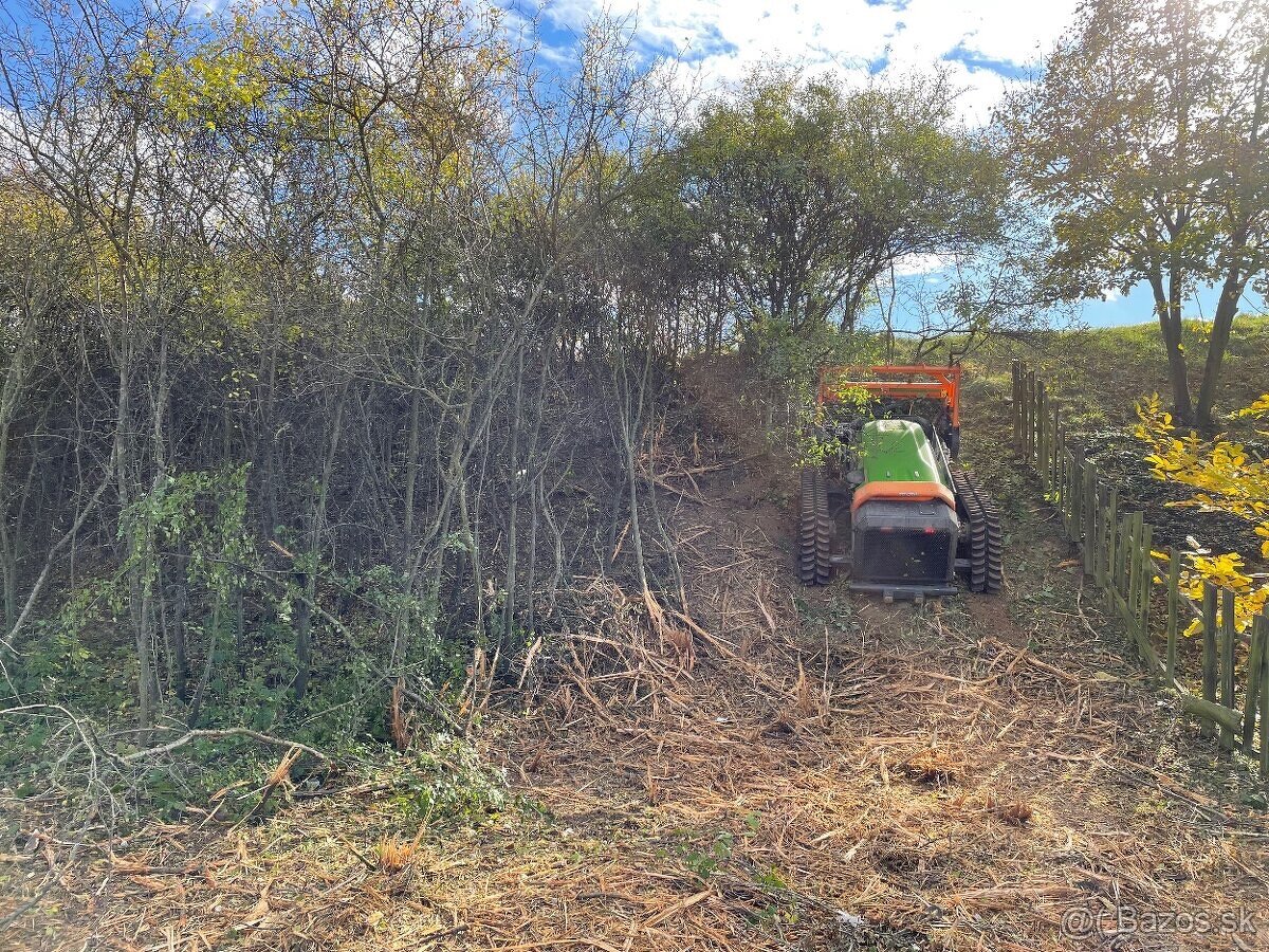 Čistenie pozemkov - mulčovanie, frézovanie - 5