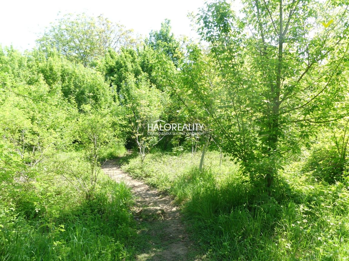 HALO reality - Predaj, pozemok 5834 m2 Trnava, zaujímavý i - 5