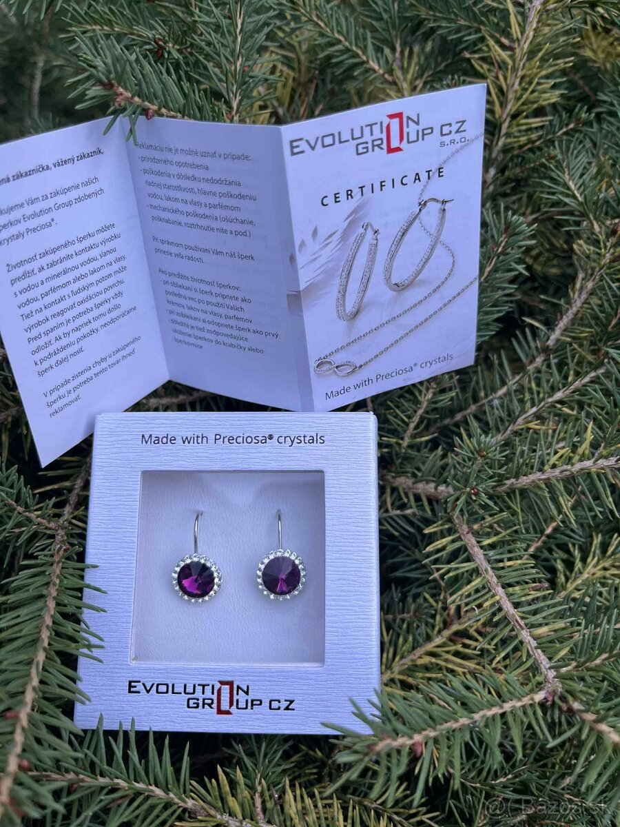 Náušnice Evolution Group - 5