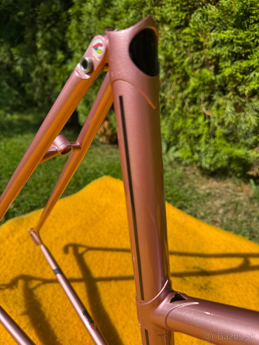 Cinelli Donna Supercorsa - 5