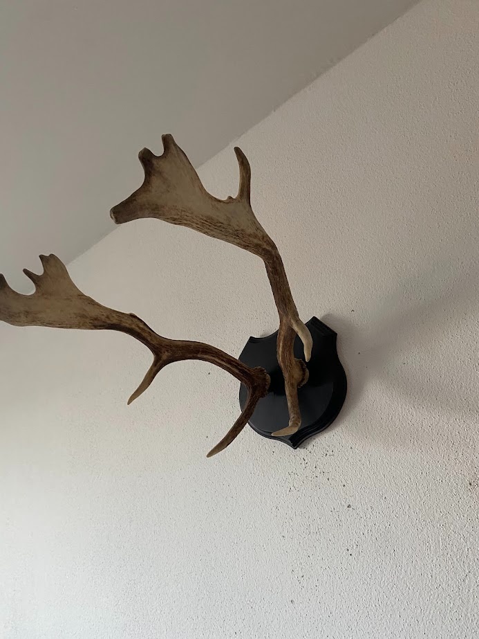 predam Polovnicke trofeje - 5