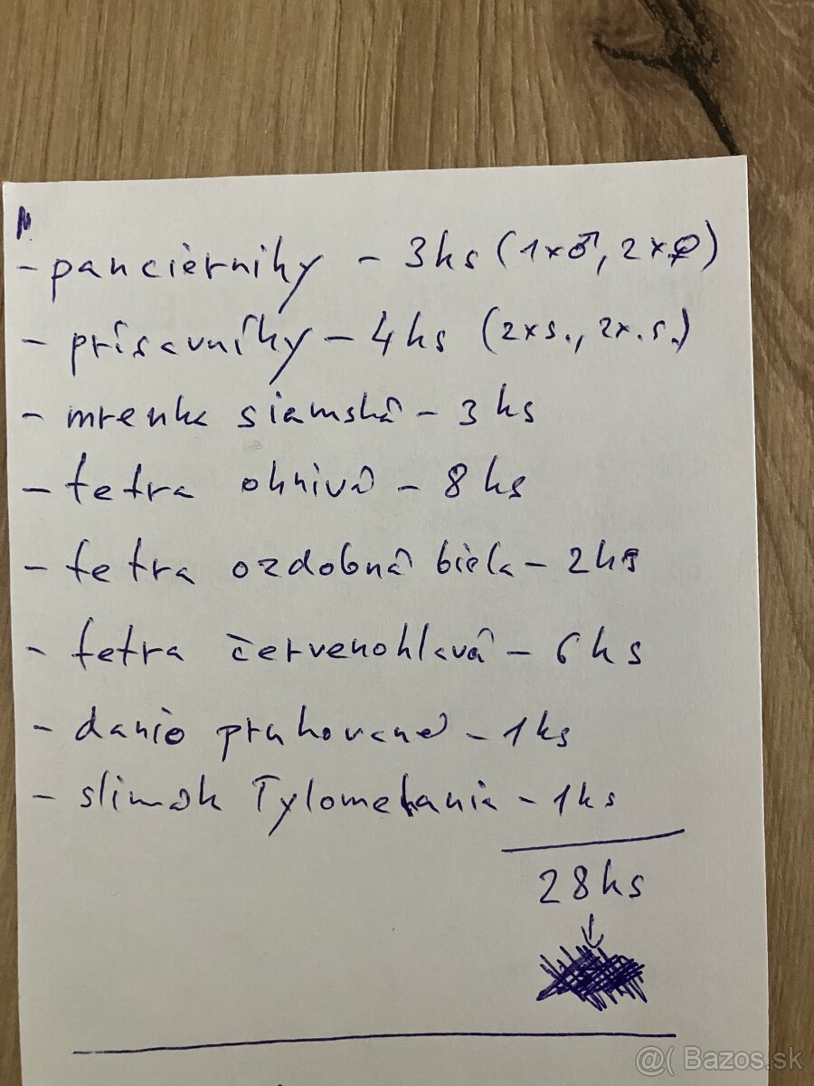 rybky rôzne druhy - 5