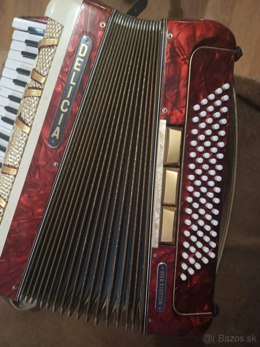 Delicia Melodia VIII - 5