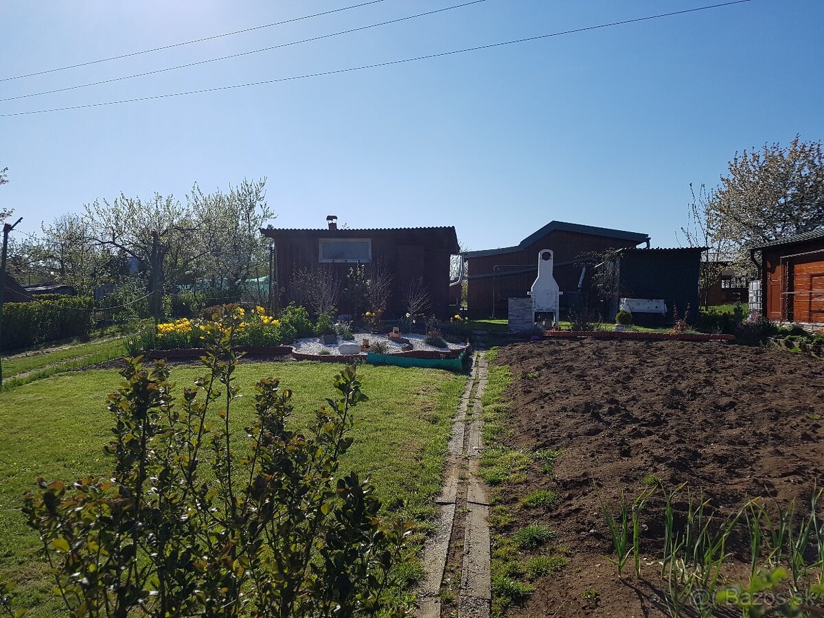 Záhrada na sídl. Mier - 5