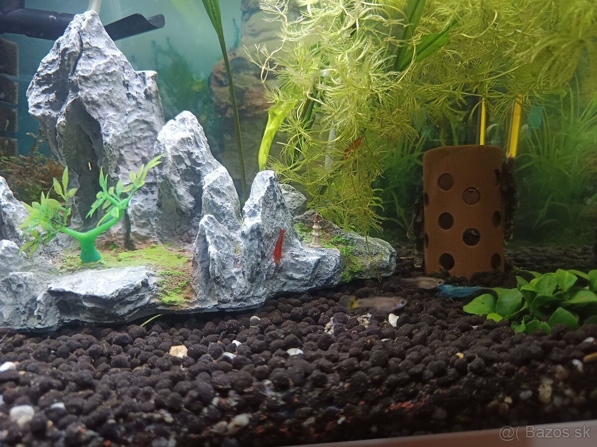 Akvárium ryby krevety filter teplomer dekorácie - 5