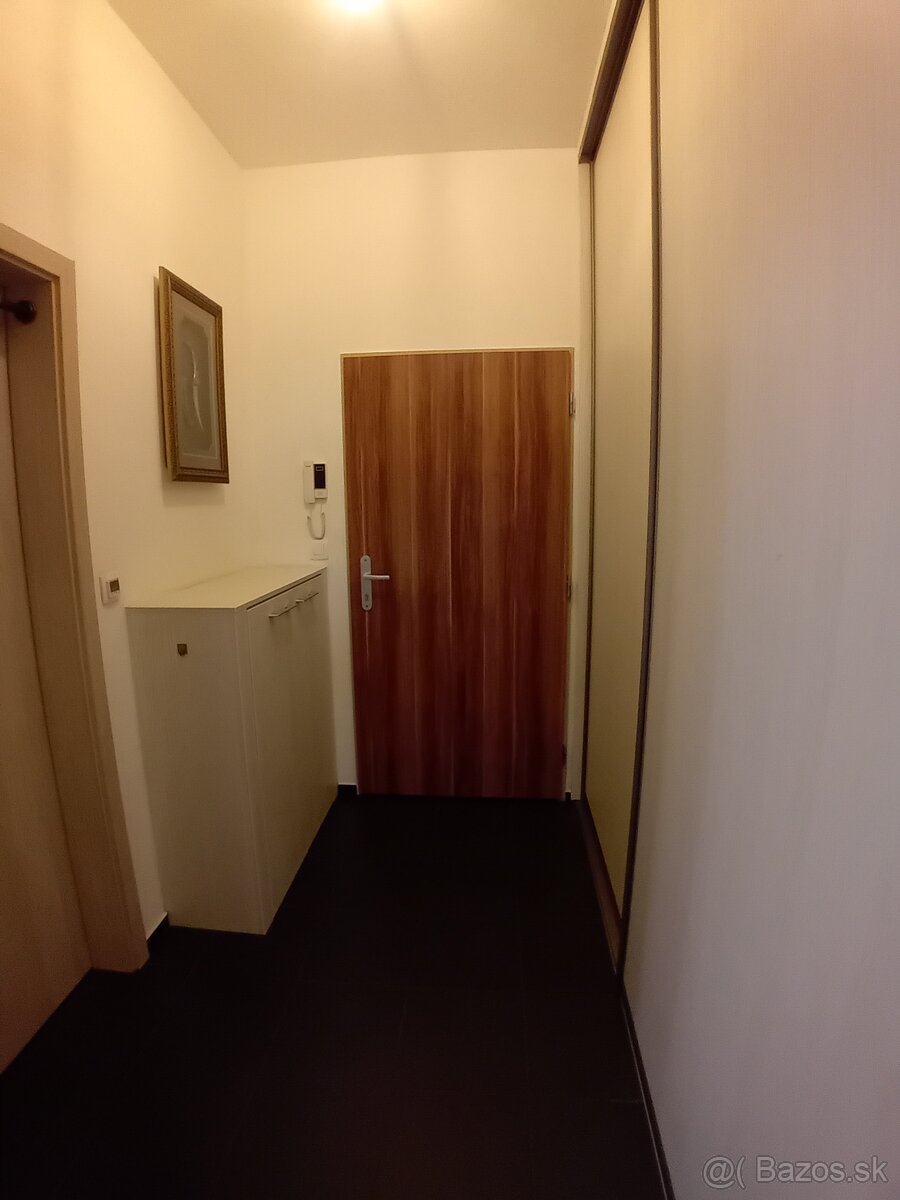Prenajom 1izbový byt - 5
