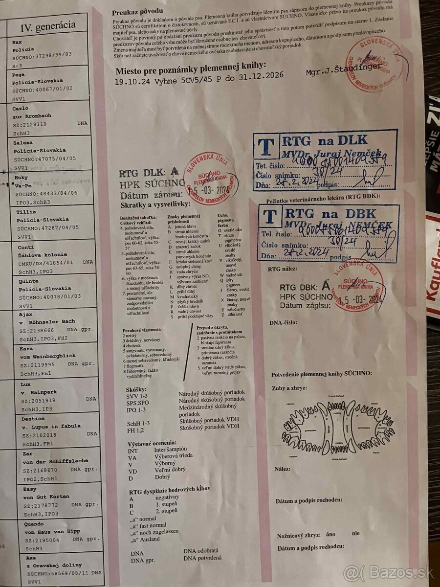 Nemecký ovčiak - 5