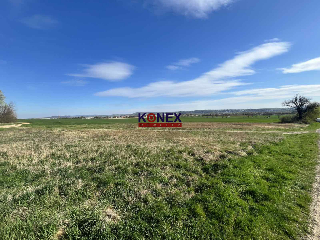 NOVINKA ROZĽAHLÝ POZEMOK – VRANOV NAD TOPĽOU - 5