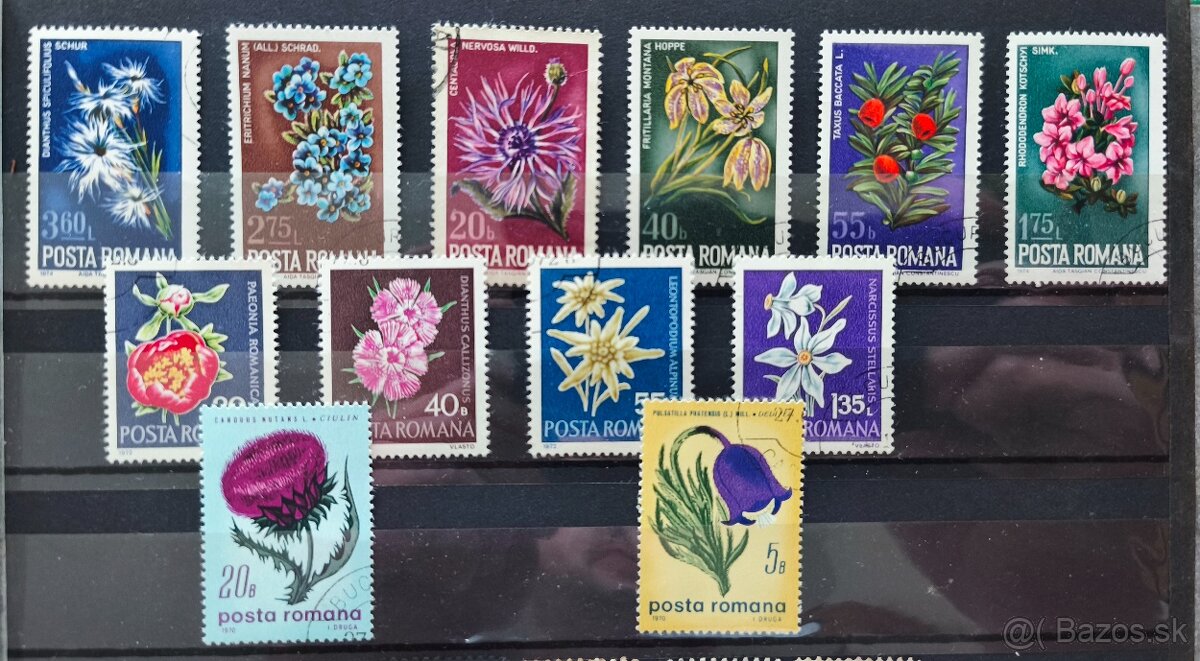 Známky kvety Rumunsko - 5