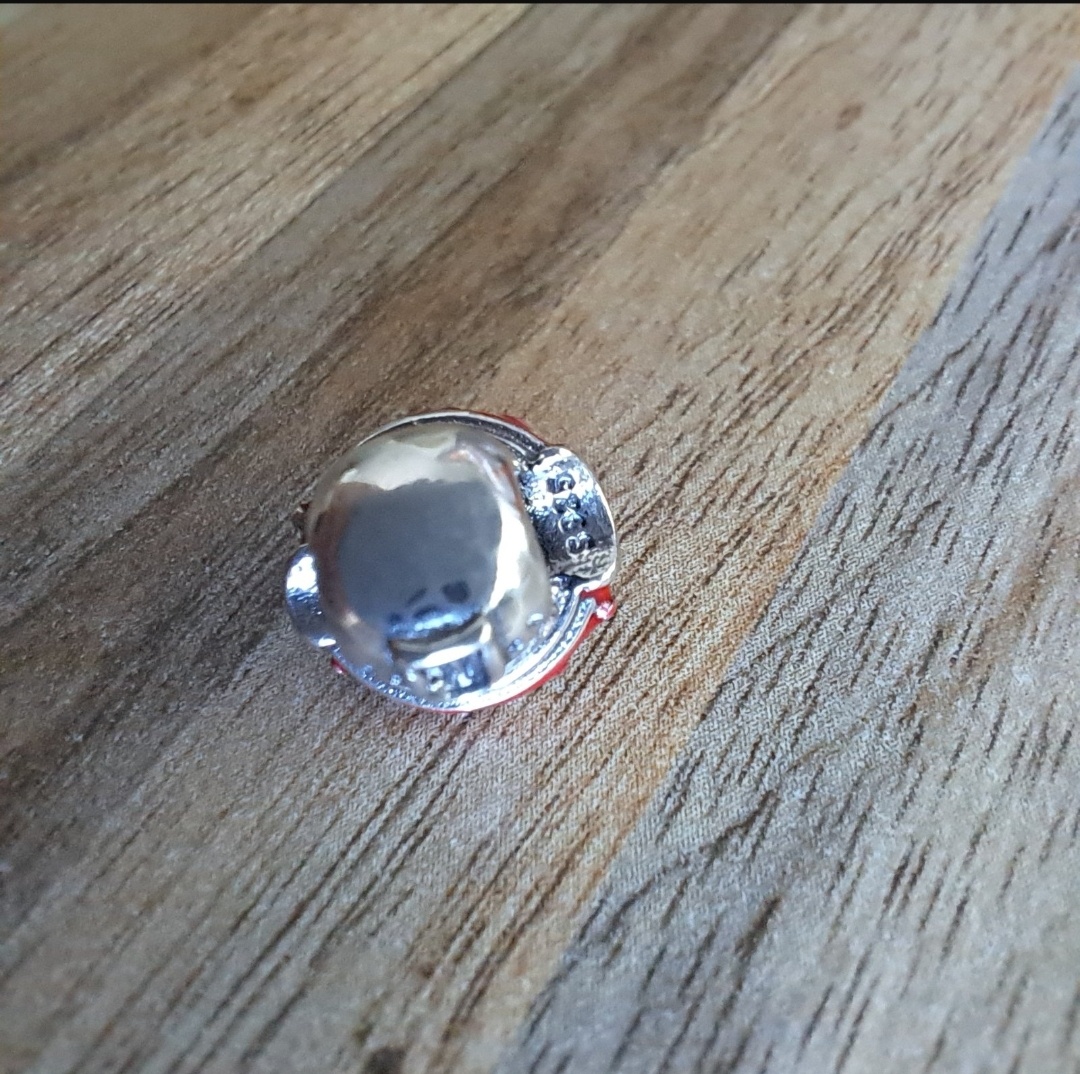 Prívesok Hríbikový Dom - 5