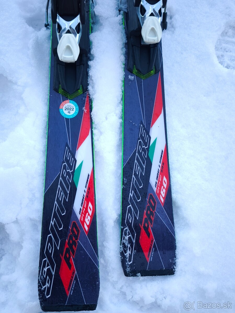 Dobermann Spitfire PRO nordica 160cm - 5