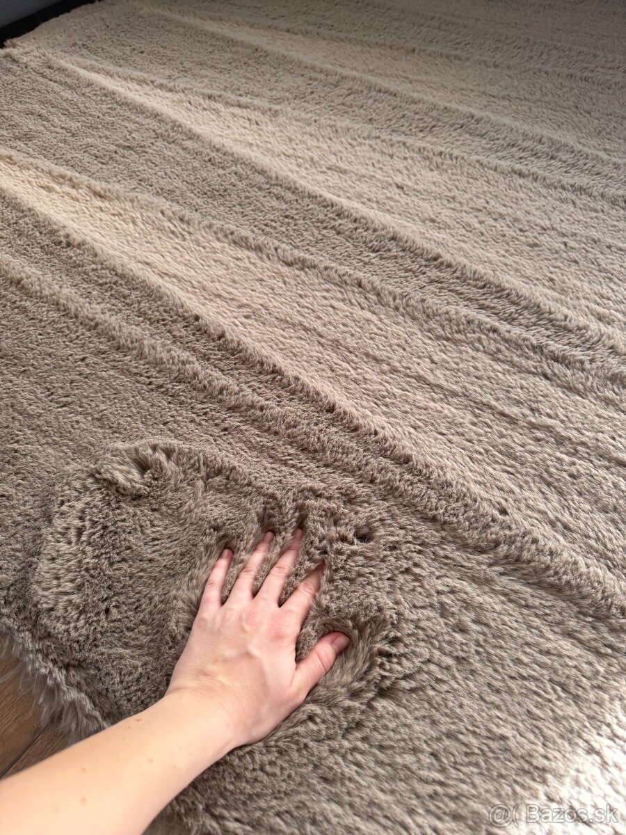 Nový koberec - 5