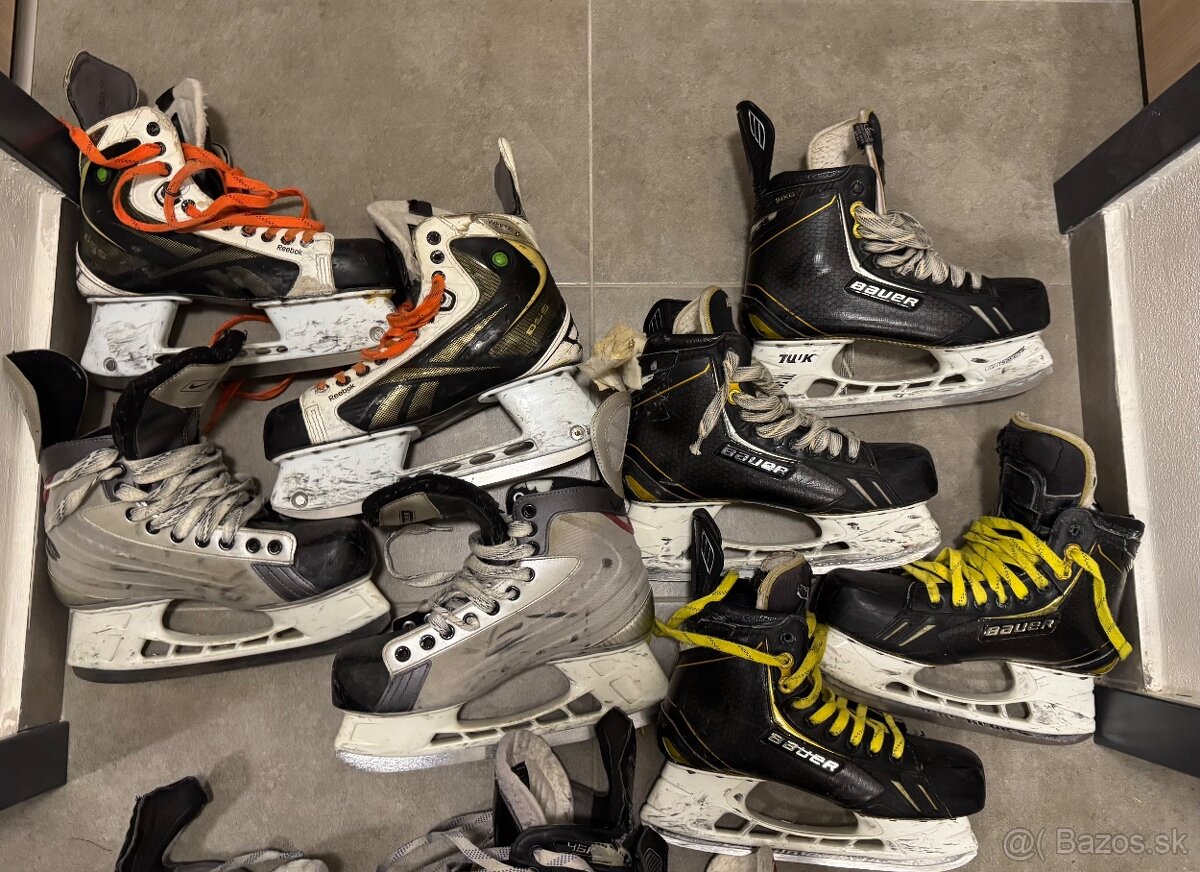 PREDAM SENIOR KORCULE - 5