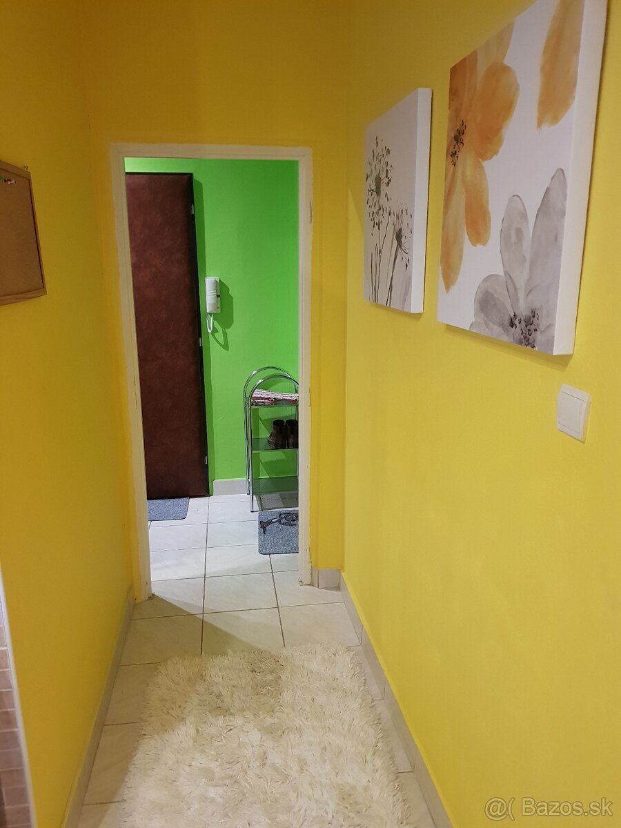 Prenájom 1-izbový byt Terasa,Pokroku/ Rent 1-room appartment - 5